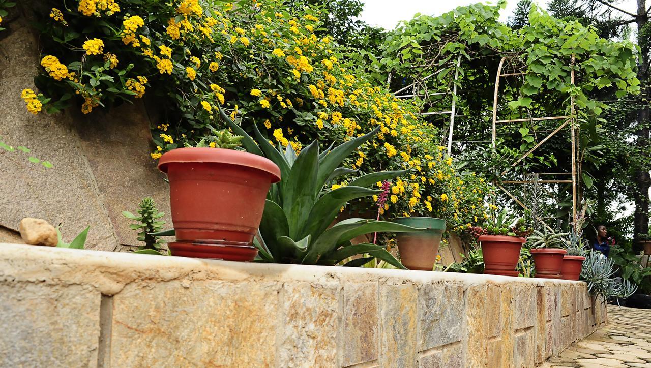 The Shoebill Nest Bed and Breakfast Kampala Esterno foto